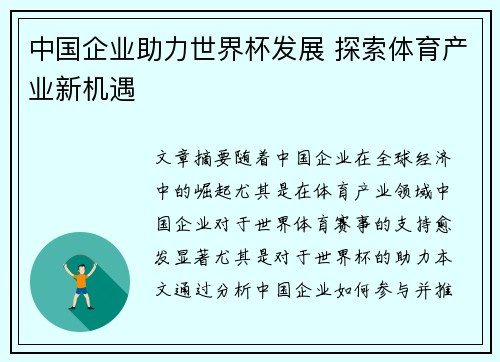 中国企业助力世界杯发展 探索体育产业新机遇