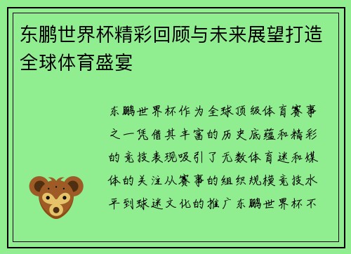 东鹏世界杯精彩回顾与未来展望打造全球体育盛宴