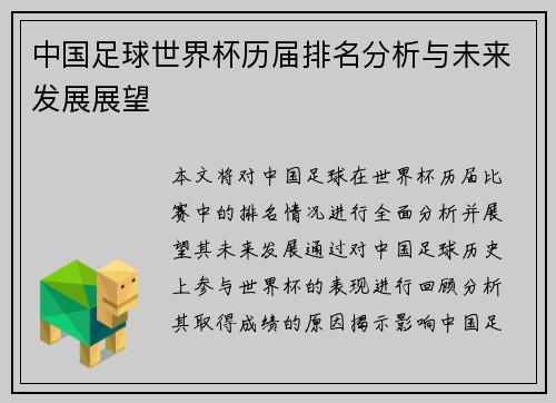 中国足球世界杯历届排名分析与未来发展展望
